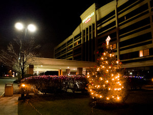 Marriott Courtyard Lyndhurst Meadowlands 