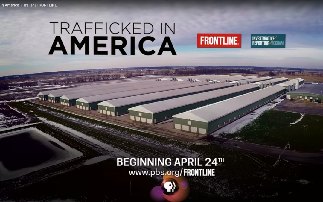 May 15, 2018 news about Human Trafficking
