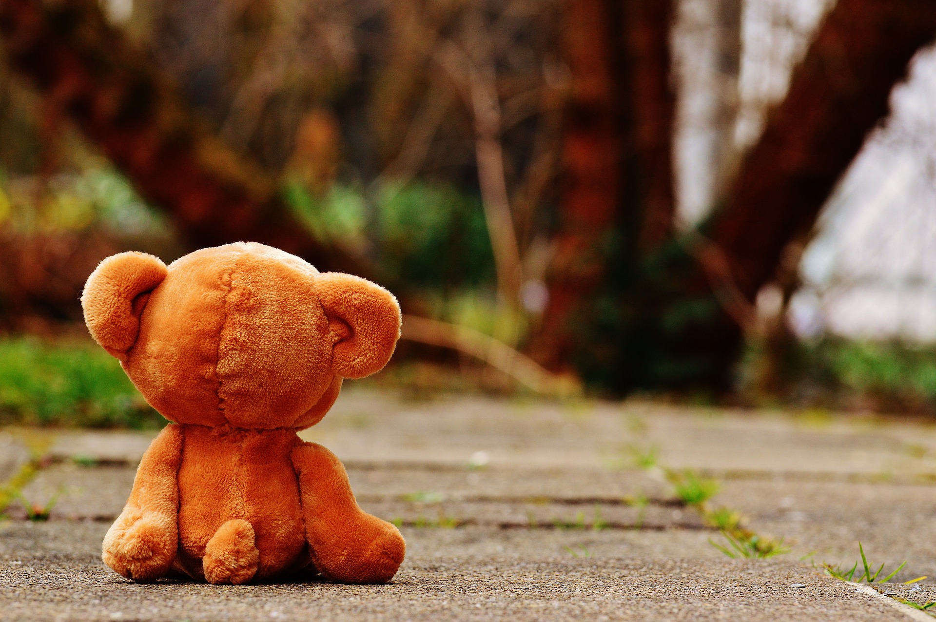 bear-1272799_1920 I'm missing my friend - will you bring her back?