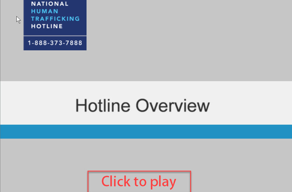 When you call the hotline – here’s what happens