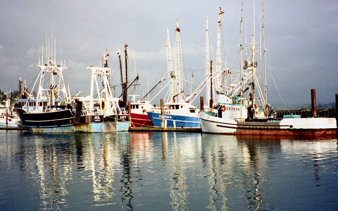Can human trafficking flourish by furnishing my flounder fish dinner?